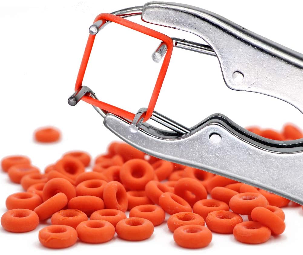 Elastrator for castration and  Tail Dock